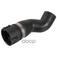 �������� Febi ���. 171591 171591 ����