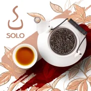 ��� ������ ���������� ������� SOLO, 100� ����