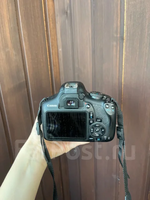 Canon EOS 2000D. ���: 3� ����