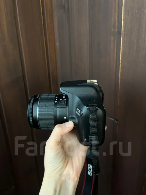 Canon EOS 2000D. ���: 3� ����