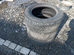 WolfTyres Nord. �����������, 2019 ���, �/�, ����� 100 % ����