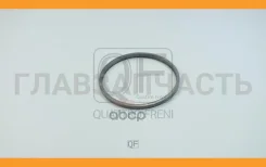 ������ �������������� BMW QF54A00049 ����