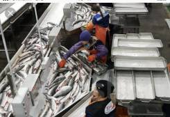 ��������������. ��� ���� �����. ����� ����� ������ 1 ����