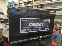 Camel. 80��.�., L4, 800��., ��������, ������������ ����� ����