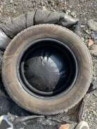 CEAT EcoDrive. ������, 2018 ���, �/�, ����� �� 5 % ����