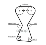 ������ ��� Racing BLUE Gates ���. T167RB T167RB ����