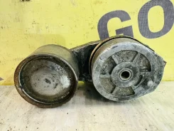 ���. 52445] �����-���������� ����������� ����� [21422765] [ 21422765 ����