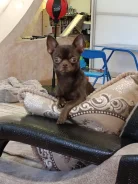 ��������. ����