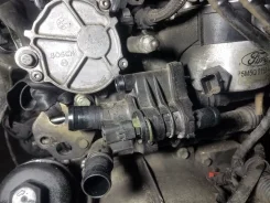 ������ ���������� Ford Focus 2 2008 1313841 ��������� 1.6L Duratorq/G8DB 1313841 ����