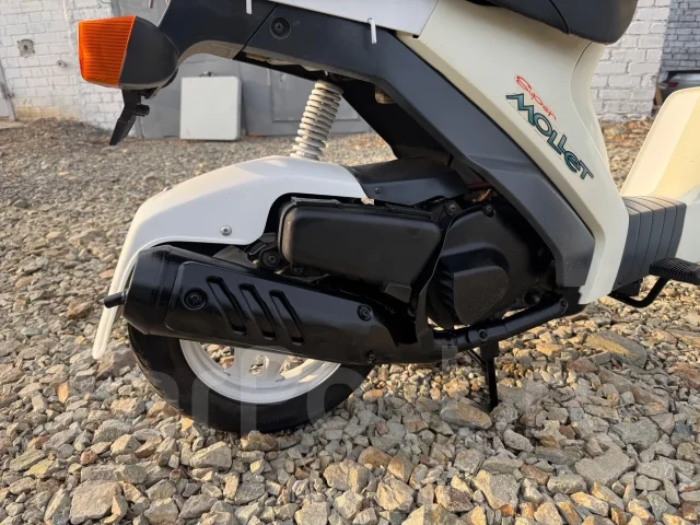 Suzuki Mollet. 50����. ��., ��������, ���������, ��� ������� ����