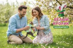 �������, ���������. �� ��������� �.�. ����� ������� 66 ����