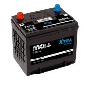 Moll