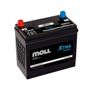 Moll