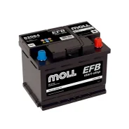 Moll