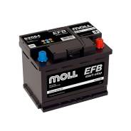 Moll