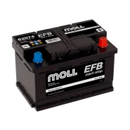 Moll