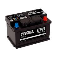 Moll