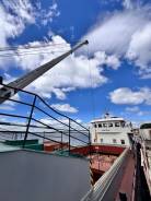 ����� �������. ��� ������-����. ����� ������������� 113� ����