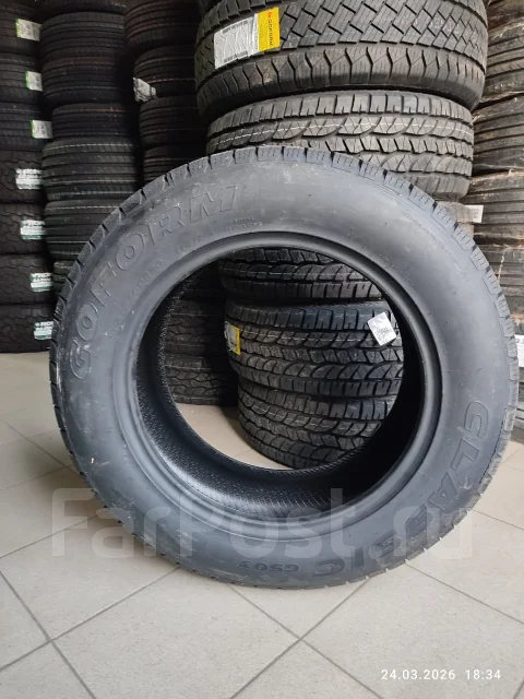 Goform GS03. ����� at, 2026 ���, ����� ����