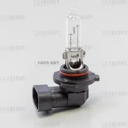 ����� HB3 12V (60W) DayNight Carberry 31CA1 31CA1 ����
