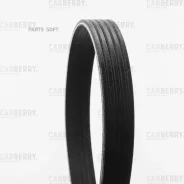 ������ ������������ Carberry Carberry 5PK705E 5PK705E ����