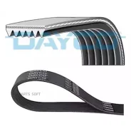 ������ ������������ Dayco Dayco 6PK1125 6PK1125 ����