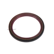 ������� Renault/LADA Logan/Largus ����. (80x100x13mm) GANZ GIE11066 GIE11066 ����