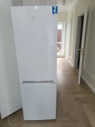������������. ����