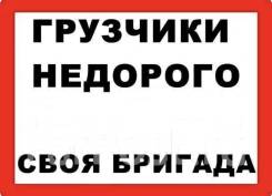 �������� ��������������. ����