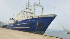 �������������� �������. ��� �������������� ���� ��������� �����". ����� ����������� 51� ����