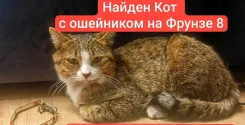 �����. ����