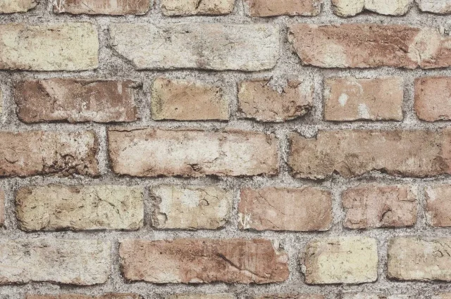 ����. ����