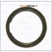 ������ �������������� ��������� ������� Ajusa 19004500 Ajusa 19004500 ����