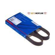������ ������������ Avantech Avantech 5PK825 Avantech 5PK825 ����