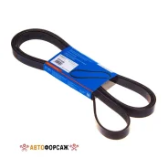 ������ ������������ Avantech Avantech 6PK2500 Avantech 6PK2500 ����