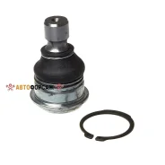 ����� ������� Avantech Avantech ABJ0203 Avantech ABJ0203 ����