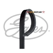 ������ ���������� Gates 3 PK 550 Gates 3PK550 Gates 3PK550 ����