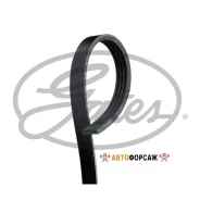 ������ ������������ Gates Gates 4PK1013 Gates 4PK1013 ����