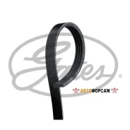 ������ ������������ Gates 4PK1048 XF 48369 Gates 4PK1048 ����