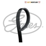 ������ ������������ Gates 4PK1210 XF Gates 4PK1210 ����