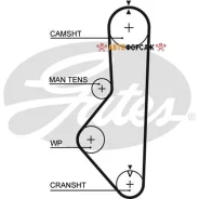 ������ ��� Gates 5149XS Gates 5149XS Gates 5149XS ����