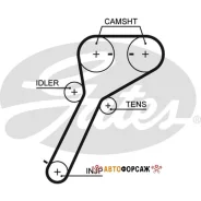 ������ ��� Gates 5651XS Gates 5651XS ����