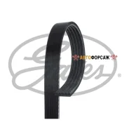 ������ ������������ Gates Gates 5PK1040 Gates 5PK1040 ����