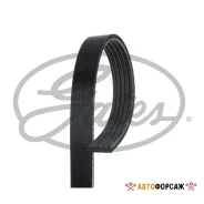 ������ ������������ Gates Gates 5PK1163 Gates 5PK1163 ����