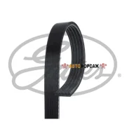 ������ ������������ Gates Gates 5PK1303 Gates 5PK1303 ����