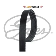 ������ ������������ Gates Gates 5PK955 Gates 5PK955 ����