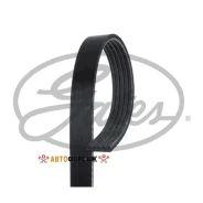 ������ ������������ Gates 5PK998 XF 58365 Gates 5PK998 ����