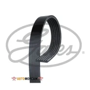 ������ ������������ Gates 6PK1033 XF 68814 Gates 6PK1033 ����