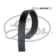 ������ ������������ Gates 6PK1173 XF 68379 Gates 6PK1173 ����