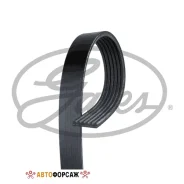 ������ ������������ Gates 6PK1028 XF 68367 Gates 6PK1028 ����